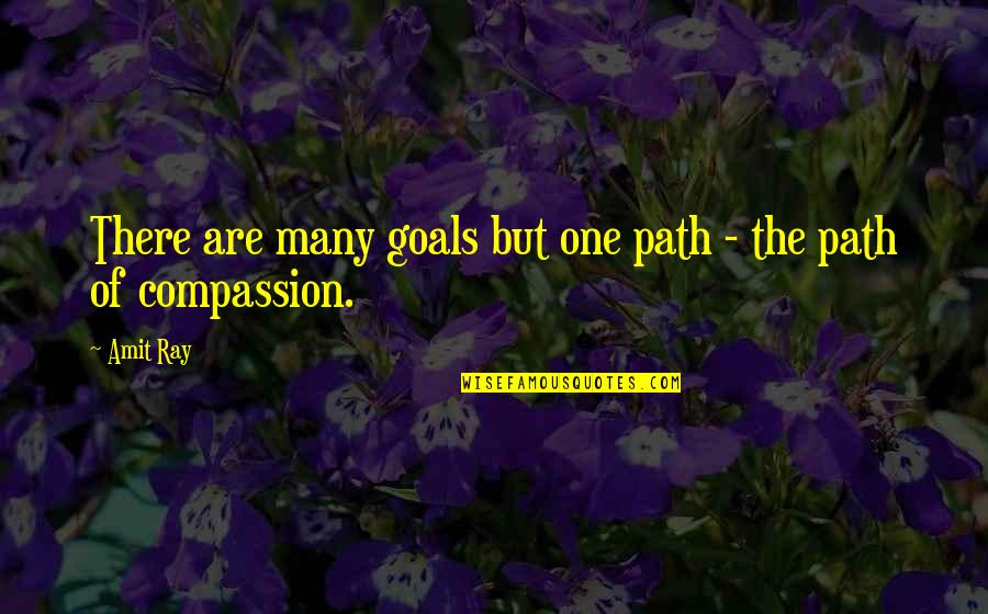 Kindness And Light Quotes By Amit Ray: There are many goals but one path -