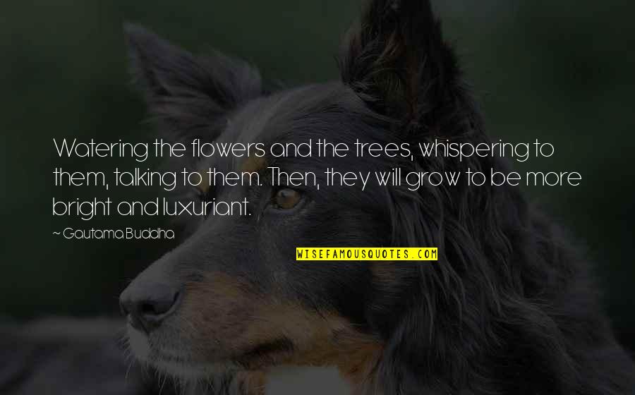 Kindness By Buddha Quotes By Gautama Buddha: Watering the flowers and the trees, whispering to Kindness By Buddha Quotes By Gautama Buddha: Watering the flowers and the trees, whispering to