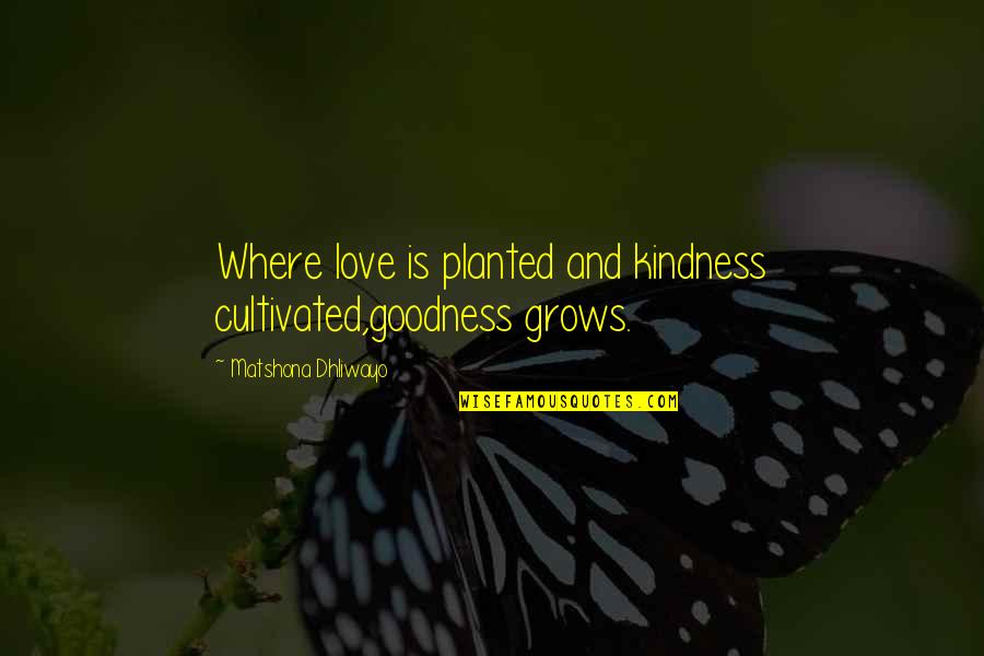 Kindness Grows Quotes By Matshona Dhliwayo: Where love is planted and kindness cultivated,goodness grows. Kindness Grows Quotes By Matshona Dhliwayo: Where love is planted and kindness cultivated,goodness grows.