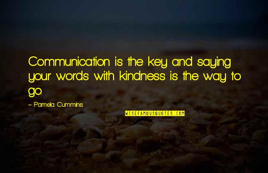Kindness In Words Quotes By Pamela Cummins: Communication is the key and saying your words