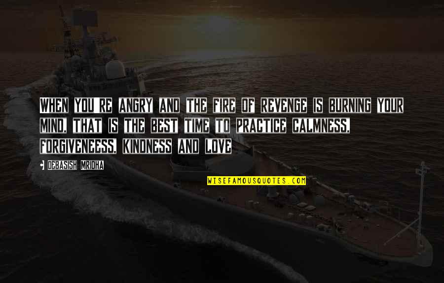 Kindness Is The Best Wisdom Quotes By Debasish Mridha: When you're angry and the fire of revenge