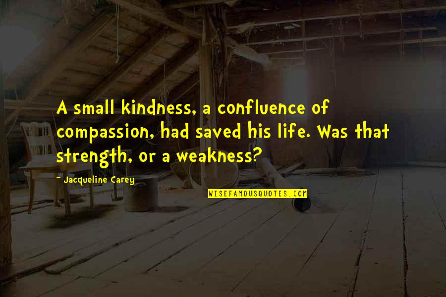 Kindness Vs Weakness Quotes By Jacqueline Carey: A small kindness, a confluence of compassion, had