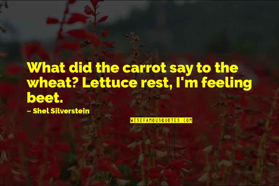 Kindredship Quotes By Shel Silverstein: What did the carrot say to the wheat? Kindredship Quotes By Shel Silverstein: What did the carrot say to the wheat?
