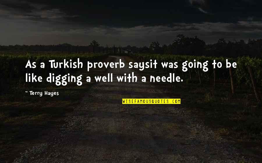 Kindsvater Hydro Quotes By Terry Hayes: As a Turkish proverb saysit was going to