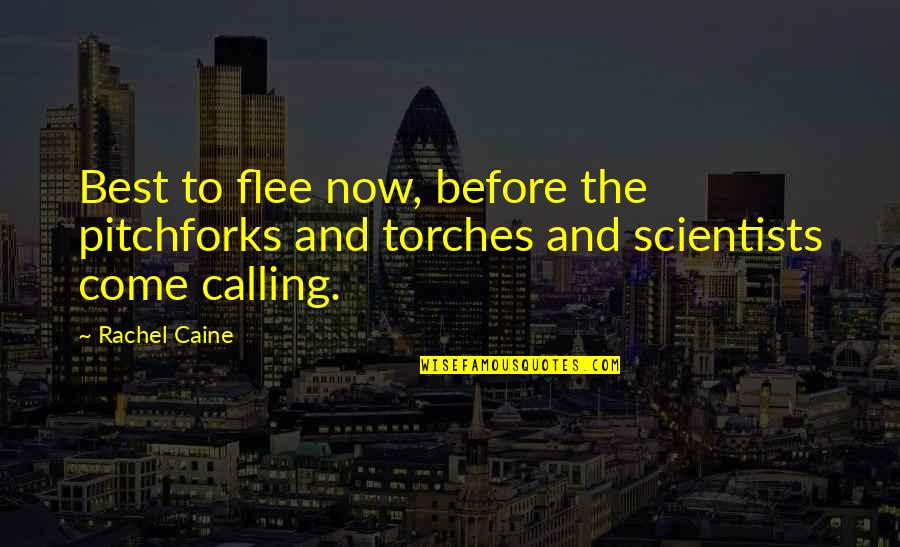 Kinesthetically Pleasing Quotes By Rachel Caine: Best to flee now, before the pitchforks and