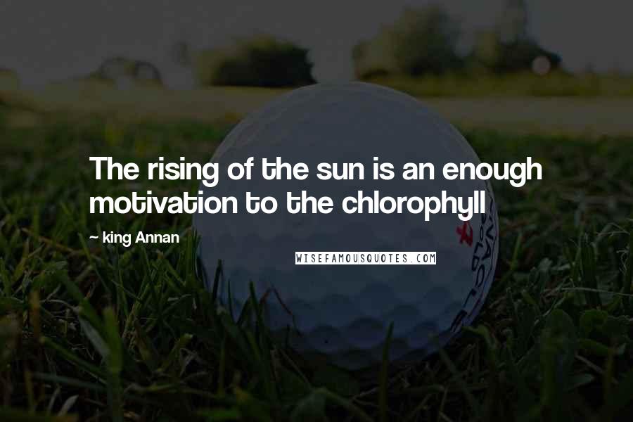 King Annan quotes: The rising of the sun is an enough motivation to the chlorophyll