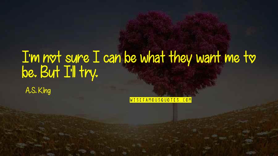 King Boy Quotes By A.S. King: I'm not sure I can be what they