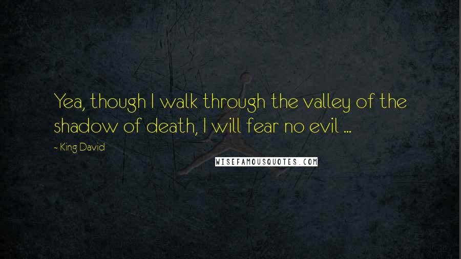 King David quotes: Yea, though I walk through the valley of the shadow of death, I will fear no evil ...