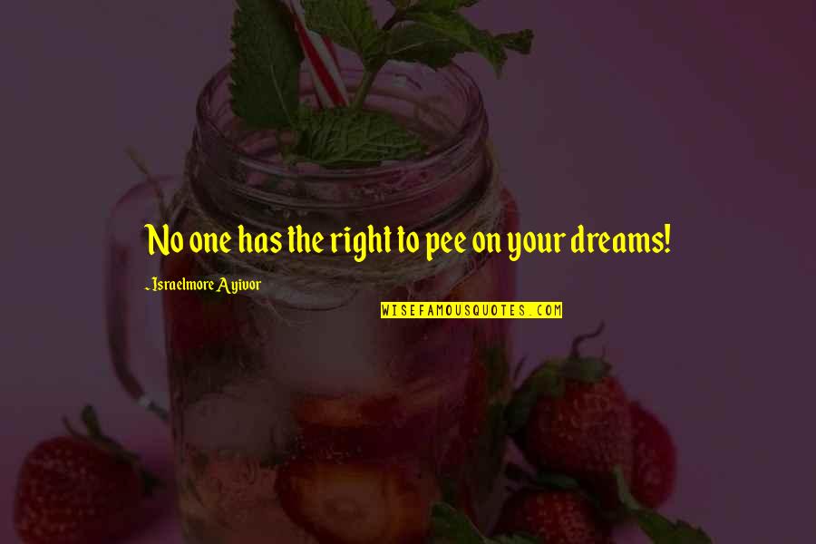 King Jr Quotes By Israelmore Ayivor: No one has the right to pee on King Jr Quotes By Israelmore Ayivor: No one has the right to pee on