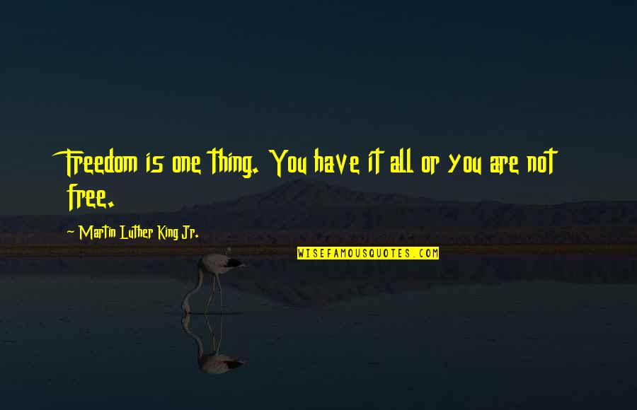 King Jr Quotes By Martin Luther King Jr.: Freedom is one thing. You have it all King Jr Quotes By Martin Luther King Jr.: Freedom is one thing. You have it all