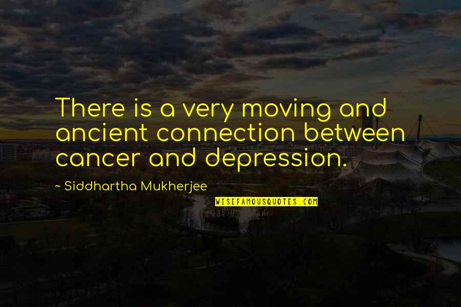King Of Baking Kim Tak Gu Quotes By Siddhartha Mukherjee: There is a very moving and ancient connection King Of Baking Kim Tak Gu Quotes By Siddhartha Mukherjee: There is a very moving and ancient connection