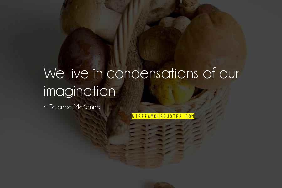 King Of Battle And Blood Quotes By Terence McKenna: We live in condensations of our imagination