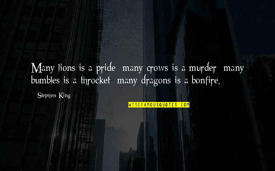 King Of Crows Quotes By Stephen King: Many lions is a pride; many crows is