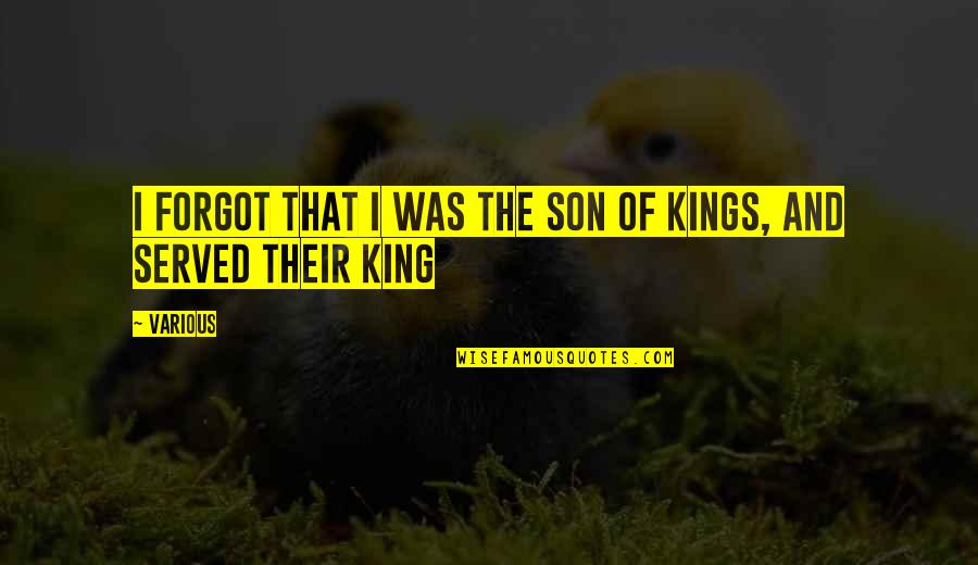King Of Kings Quotes By Various: I forgot that I was the son of