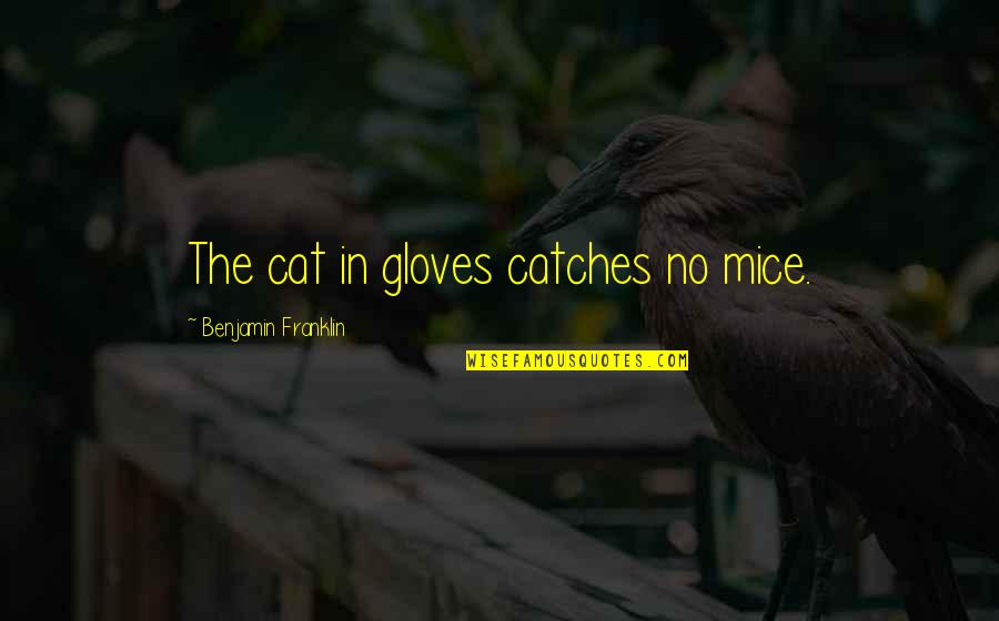 King Of Paper Chasin Quotes By Benjamin Franklin: The cat in gloves catches no mice. King Of Paper Chasin Quotes By Benjamin Franklin: The cat in gloves catches no mice.