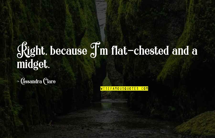 King Of Paper Chasin Quotes By Cassandra Clare: Right, because I'm flat-chested and a midget. King Of Paper Chasin Quotes By Cassandra Clare: Right, because I'm flat-chested and a midget.