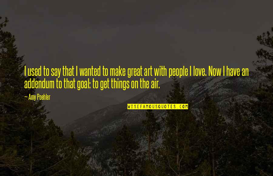 King Of Sweden Quotes By Amy Poehler: I used to say that I wanted to