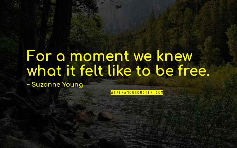King Of Thorns Quotes By Suzanne Young: For a moment we knew what it felt King Of Thorns Quotes By Suzanne Young: For a moment we knew what it felt