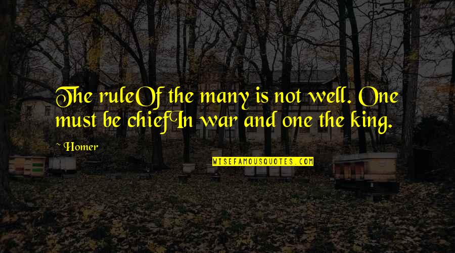 King Rule Quotes By Homer: The ruleOf the many is not well. One