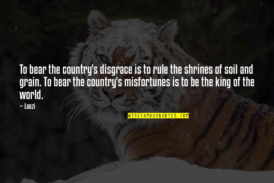 King Rule Quotes By Laozi: To bear the country's disgrace is to rule King Rule Quotes By Laozi: To bear the country's disgrace is to rule