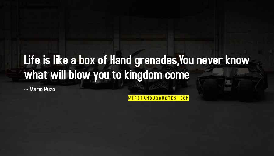 Kingdom Come Quotes By Mario Puzo: Life is like a box of Hand grenades,You