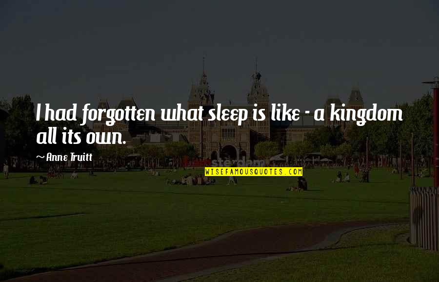 Kingdom Quotes By Anne Truitt: I had forgotten what sleep is like -