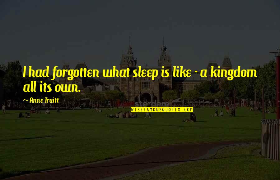 Kingdoms Quotes By Anne Truitt: I had forgotten what sleep is like -