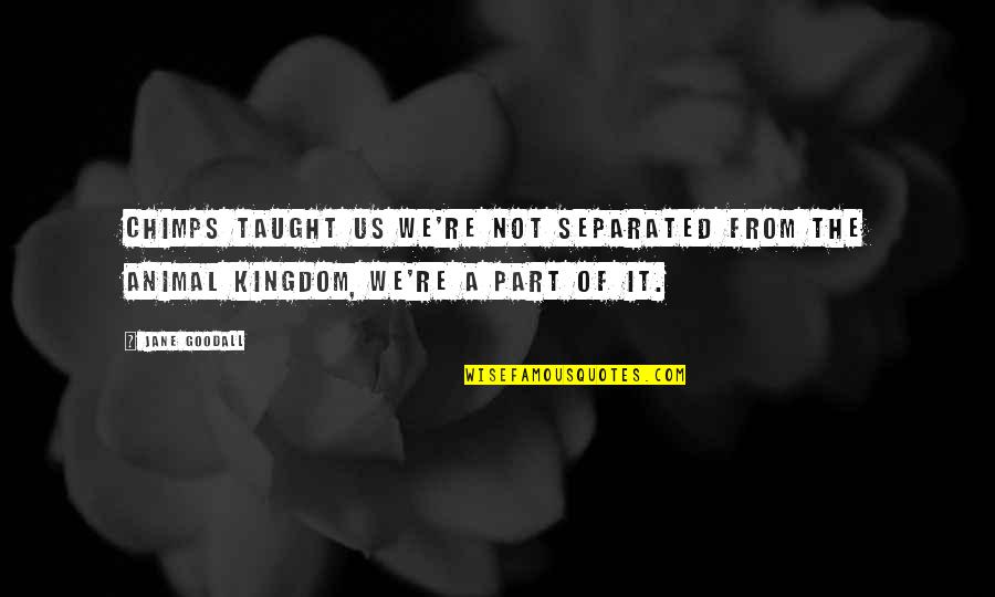 Kingdoms Quotes By Jane Goodall: Chimps taught us we're not separated from the