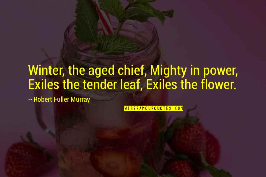 Kingery Construction Quotes By Robert Fuller Murray: Winter, the aged chief, Mighty in power, Exiles