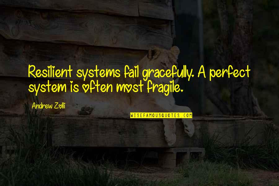 Kings And Thrones Quotes By Andrew Zolli: Resilient systems fail gracefully. A perfect system is