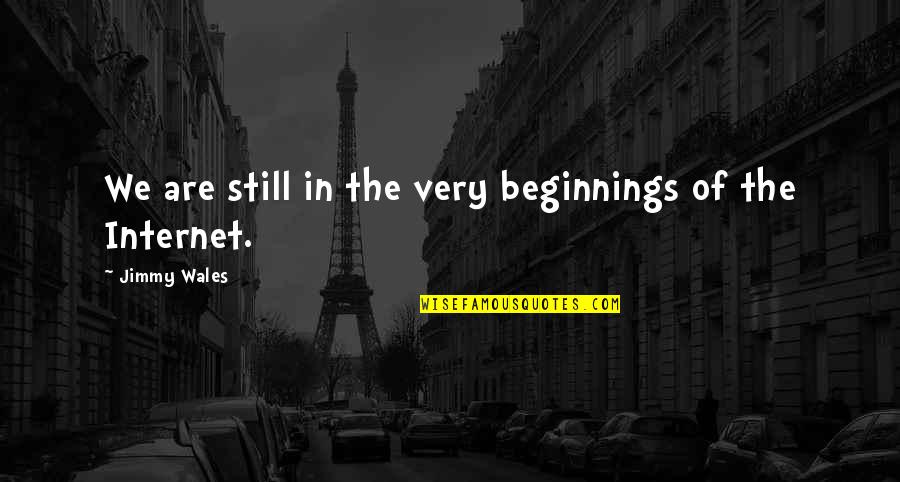 Kings Dark Tidings Quotes By Jimmy Wales: We are still in the very beginnings of