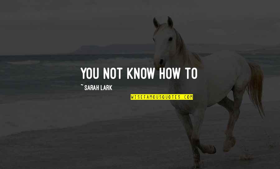 Kingshuk Chakraborty Quotes By Sarah Lark: You not know how to