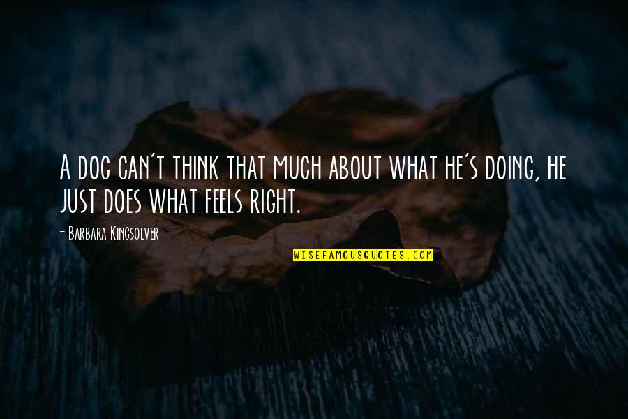 Kingsolver's Quotes By Barbara Kingsolver: A dog can't think that much about what Kingsolver's Quotes By Barbara Kingsolver: A dog can't think that much about what