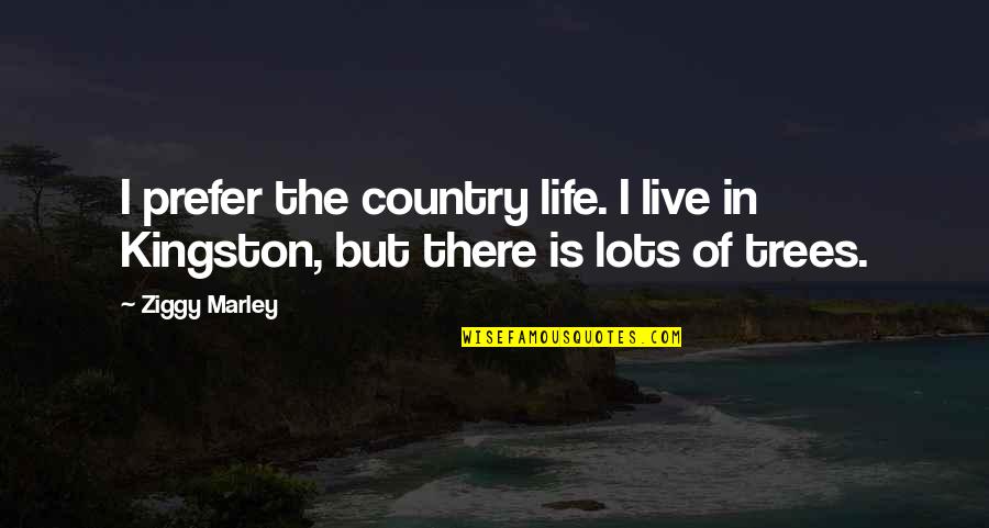 Kingston's Quotes By Ziggy Marley: I prefer the country life. I live in