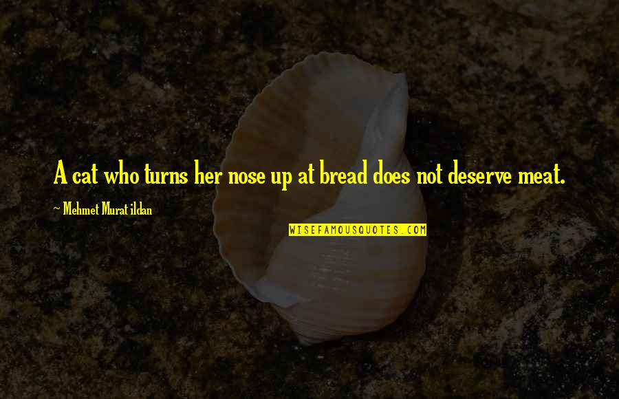 Kinikini Gps Quotes By Mehmet Murat Ildan: A cat who turns her nose up at Kinikini Gps Quotes By Mehmet Murat Ildan: A cat who turns her nose up at