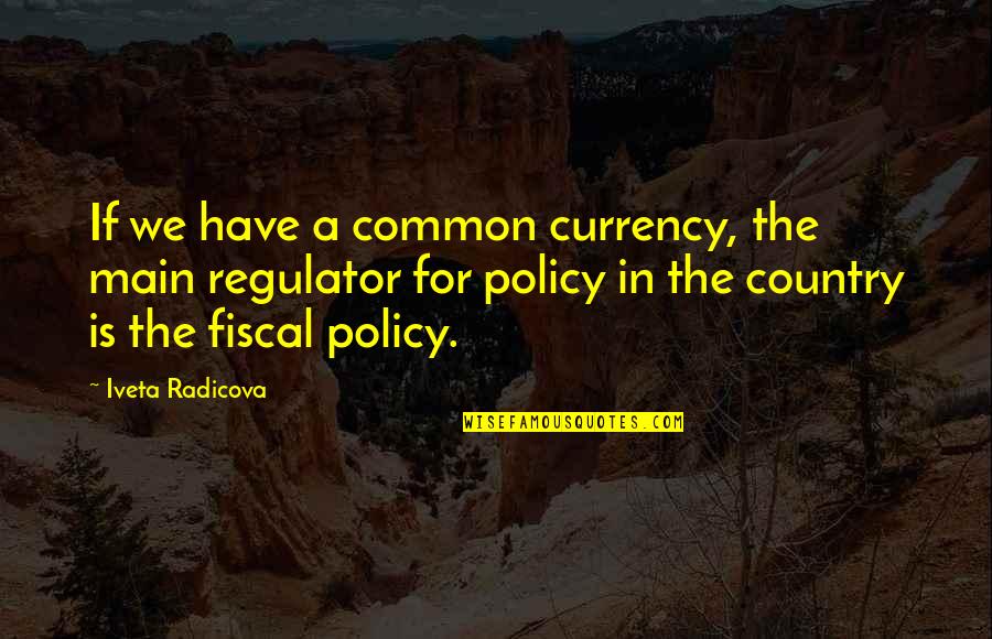 Kinimoni Quotes By Iveta Radicova: If we have a common currency, the main Kinimoni Quotes By Iveta Radicova: If we have a common currency, the main