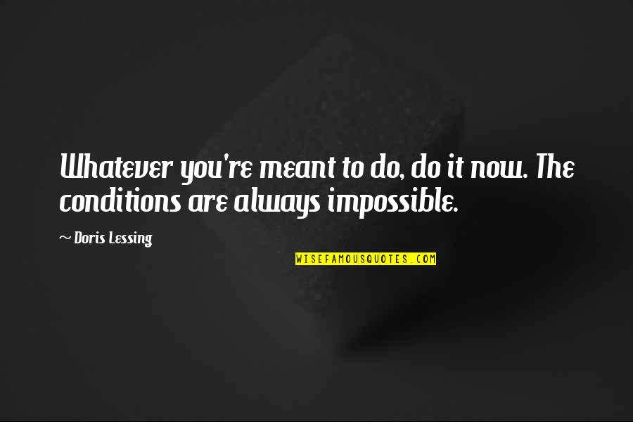 Kininmonth Cabs Quotes By Doris Lessing: Whatever you're meant to do, do it now.