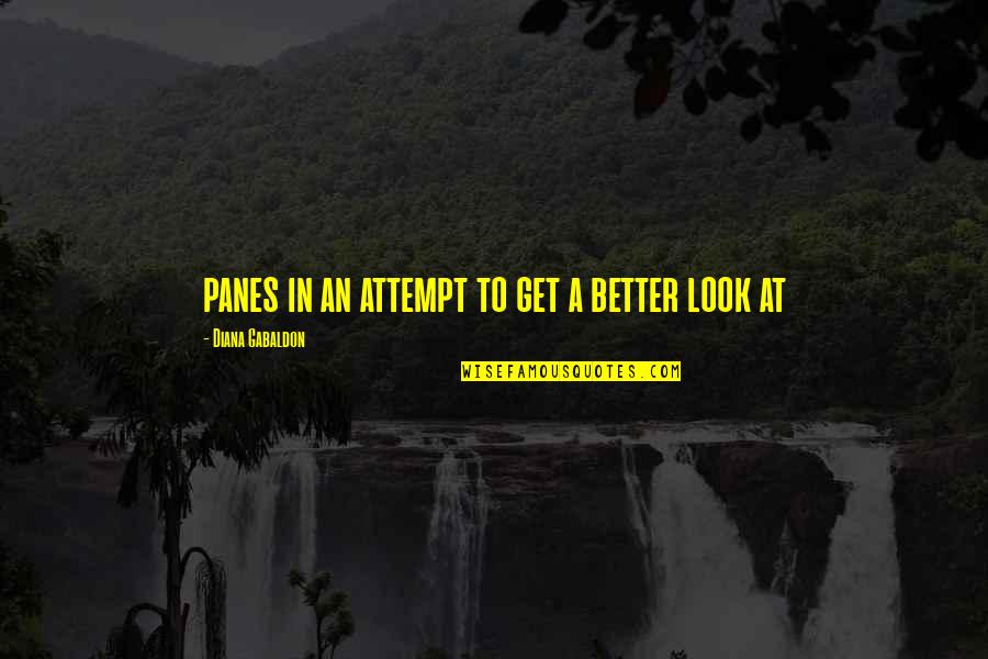 Kinita Quotes By Diana Gabaldon: panes in an attempt to get a better