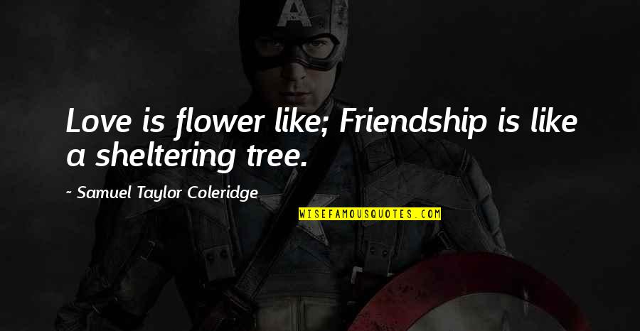 Kinks Greatest Quotes By Samuel Taylor Coleridge: Love is flower like; Friendship is like a