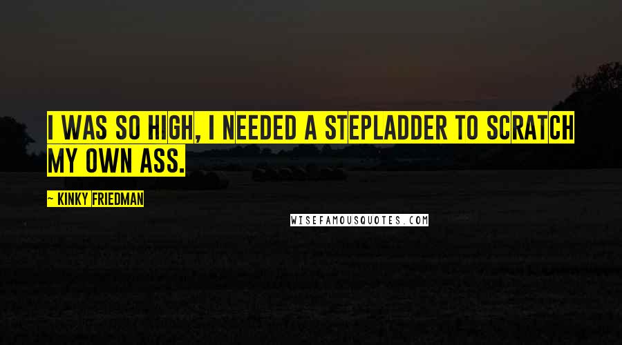 Kinky Friedman quotes: I was so high, I needed a stepladder to scratch my own ass.