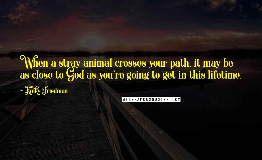 Kinky Friedman quotes: When a stray animal crosses your path, it may be as close to God as you're going to get in this lifetime.