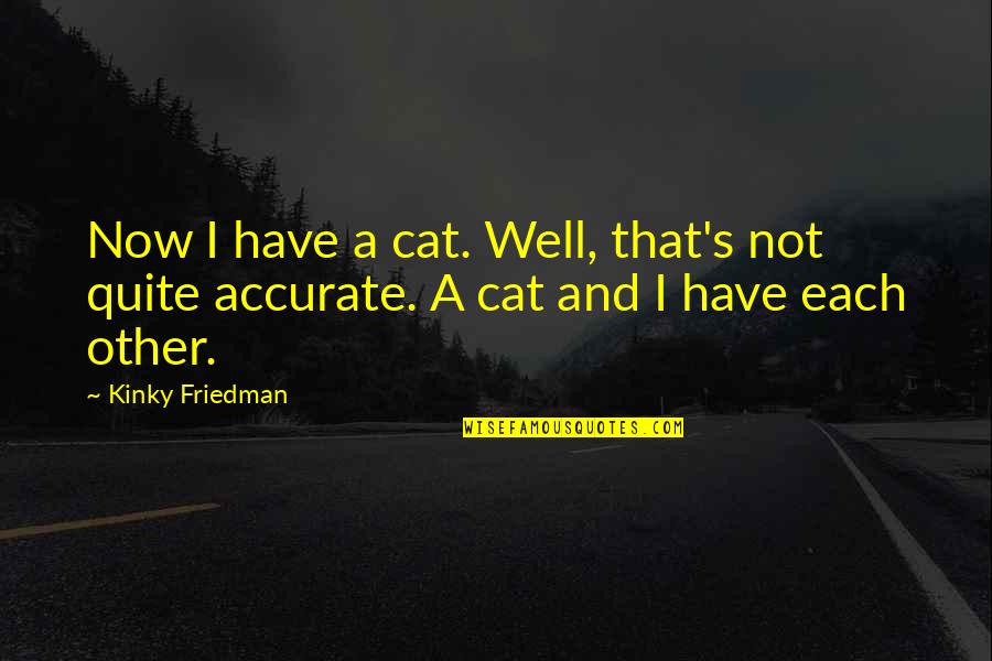 Kinky Quotes By Kinky Friedman: Now I have a cat. Well, that's not