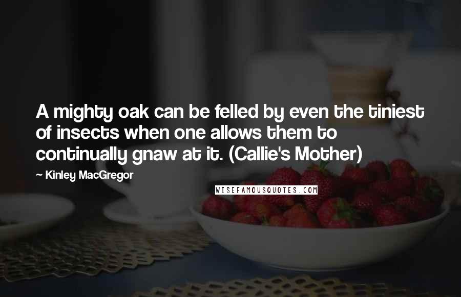 Kinley MacGregor quotes: A mighty oak can be felled by even the tiniest of insects when one allows them to continually gnaw at it. (Callie's Mother) Kinley MacGregor quotes: A mighty oak can be felled by even the tiniest of insects when one allows them to continually gnaw at it. (Callie's Mother)