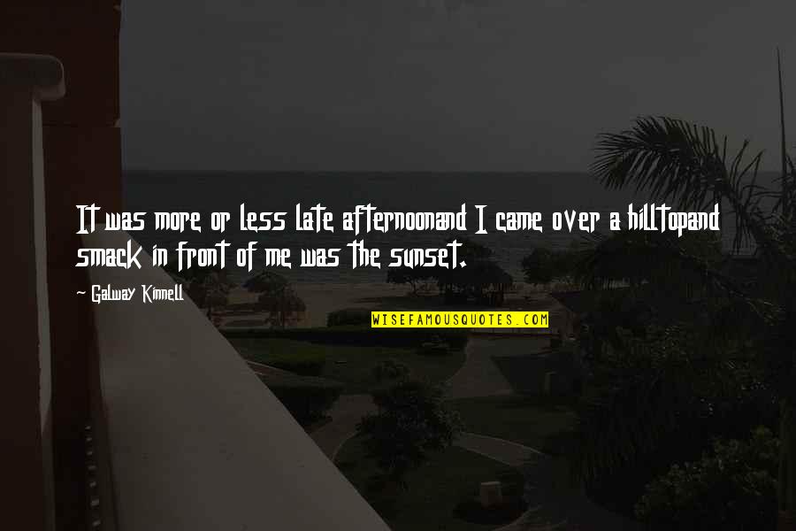 Kinnell Quotes By Galway Kinnell: It was more or less late afternoonand I