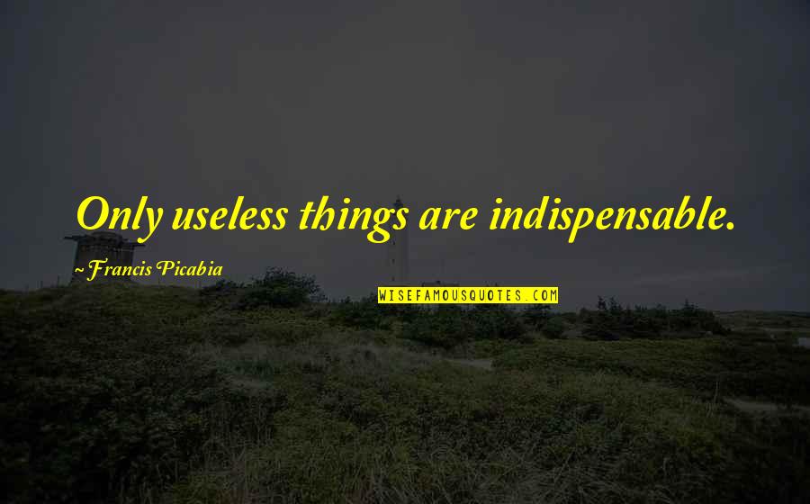 Kinniburgh Construction Quotes By Francis Picabia: Only useless things are indispensable.