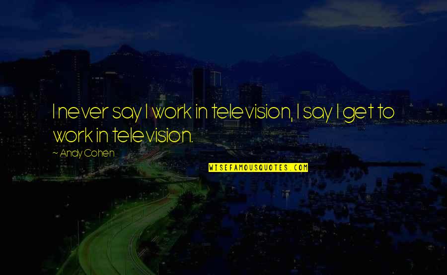 Kinshofer Gmbh Quotes By Andy Cohen: I never say I work in television, I