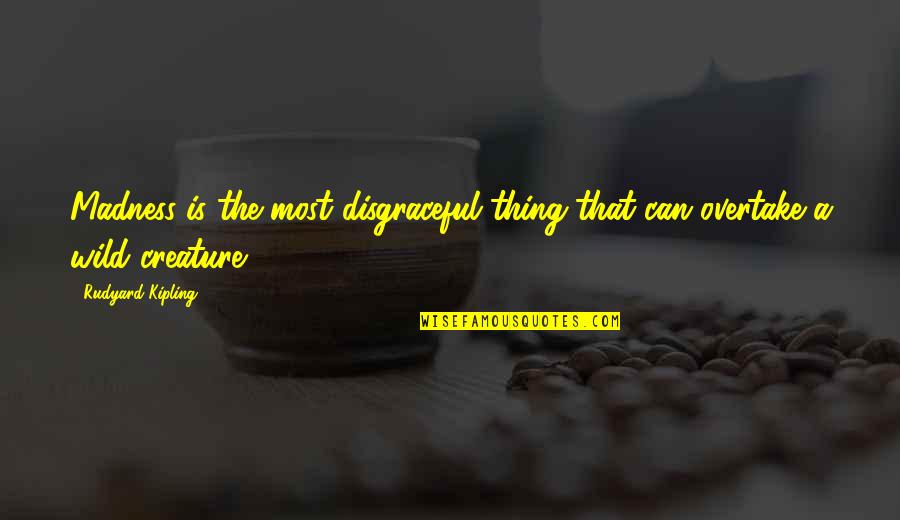 Kintaro Sushi Quotes By Rudyard Kipling: Madness is the most disgraceful thing that can Kintaro Sushi Quotes By Rudyard Kipling: Madness is the most disgraceful thing that can
