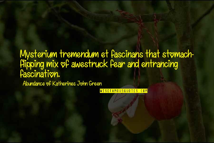 Kintaros Quotes By Abundance Of Katherines John Green: Mysterium tremendum et fascinans that stomach- flipping mix Kintaros Quotes By Abundance Of Katherines John Green: Mysterium tremendum et fascinans that stomach- flipping mix