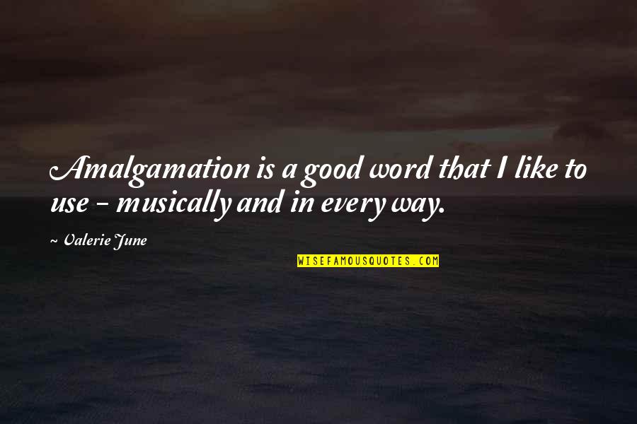 Kintetsu Tracking Quotes By Valerie June: Amalgamation is a good word that I like