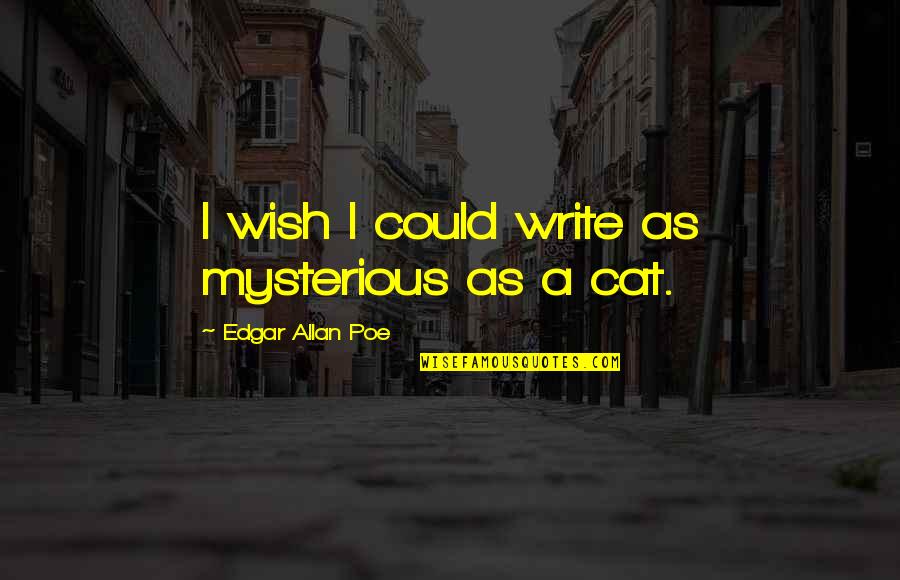 Kinzel Moen Quotes By Edgar Allan Poe: I wish I could write as mysterious as